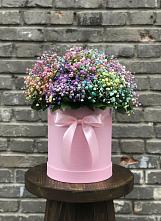 Цветочная композиция из Гипсофила и Розы в шляпной коробке #REPLACE_PRED# Клетской