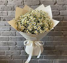 Букет цветов из:  Ромашки в Клетской