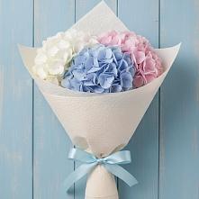 Букет цветов из:  Гортензия в Клетской