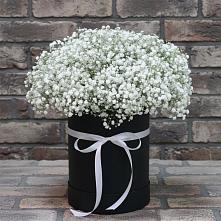 Цветочная композиция из Гипсофила в шляпной коробке в Клетской