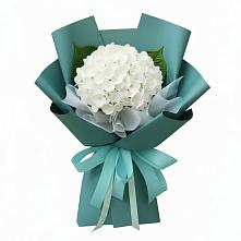 Букет цветов из:  Гортензия #REPLACE_PRED# Клетской
